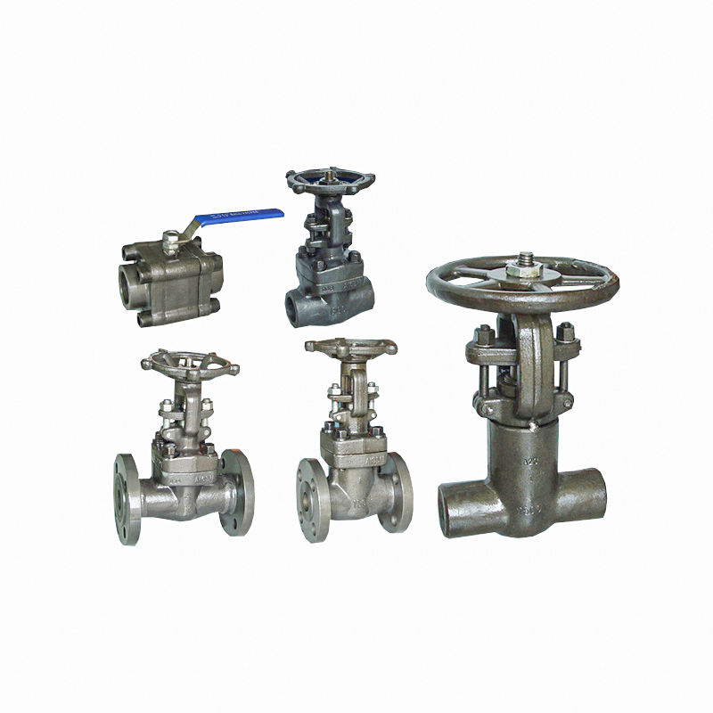 Forged Steel Valves